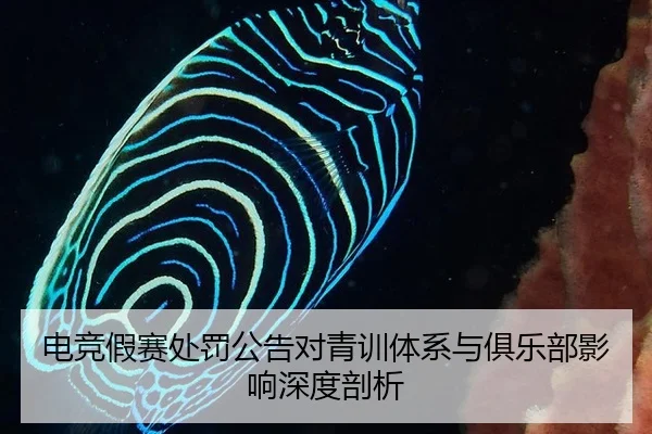 电竞假赛处罚公告对青训体系与俱乐部影响深度剖析