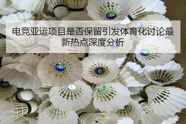 dian-jing-ya-yun-xiang-mu-shi-fou-bao-liu-yin-fa-ti-yu-hua-tao-lun-zui-xin-re-dian-shen-du-fen-xi-1-456.jpg